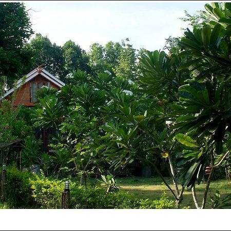 Phuphiangkhiangfah Resort Nan Szoba fotó