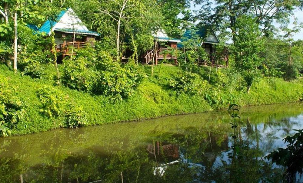 Phuphiangkhiangfah Resort Nan Kültér fotó